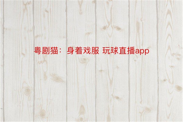 粤剧猫：身着戏服 玩球直播app