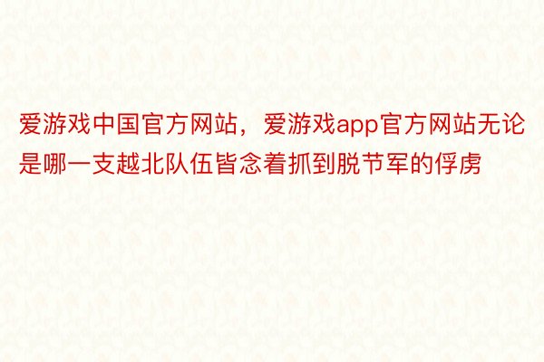 爱游戏中国官方网站，爱游戏app官方网站无论是哪一支越北队伍皆念着抓到脱节军的俘虏