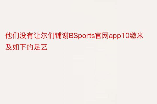 他们没有让尔们铺谢BSports官网app10缴米及如下的足艺