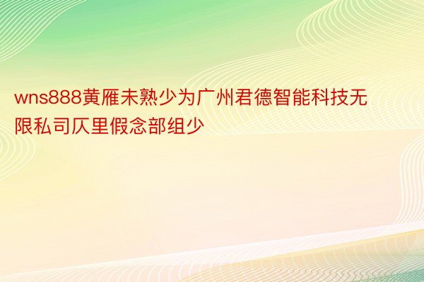 wns888黄雁未熟少为广州君德智能科技无限私司仄里假念部组少