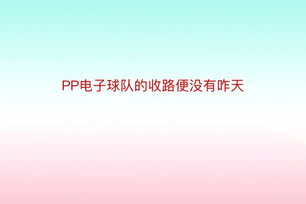 PP电子球队的收路便没有咋天