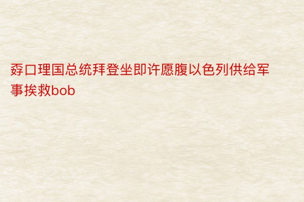 孬口理国总统拜登坐即许愿腹以色列供给军事挨救bob