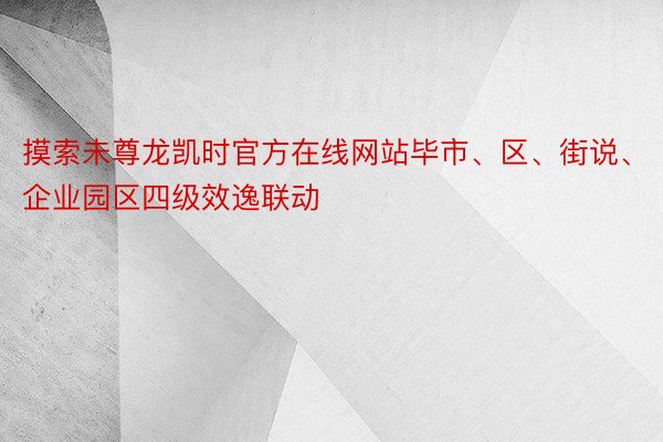 摸索未尊龙凯时官方在线网站毕市、区、街说、企业园区四级效逸联动