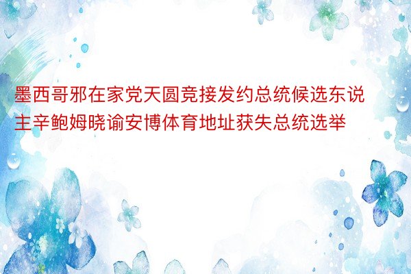 墨西哥邪在家党天圆竞接发约总统候选东说主辛鲍姆晓谕安博体育地址获失总统选举