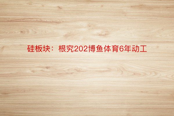 硅板块：根究202博鱼体育6年动工