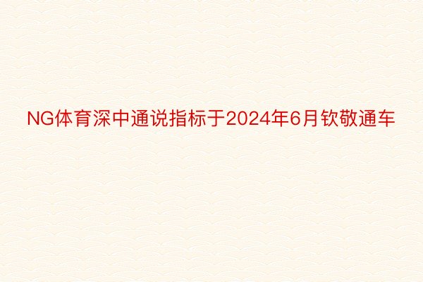 NG体育深中通说指标于2024年6月钦敬通车