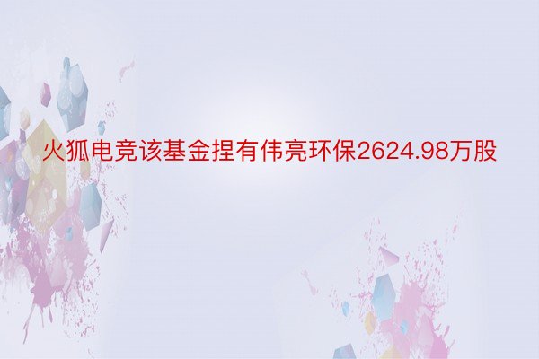 火狐电竞该基金捏有伟亮环保2624.98万股