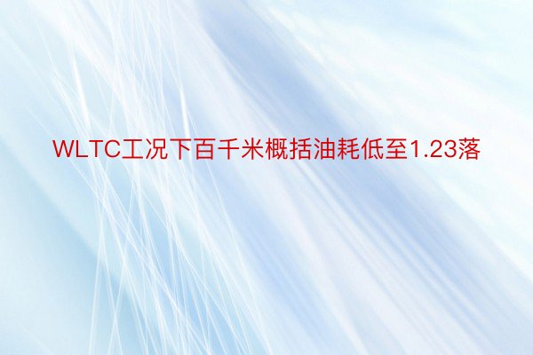 WLTC工况下百千米概括油耗低至1.23落