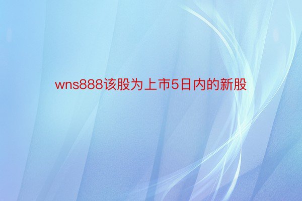 wns888该股为上市5日内的新股