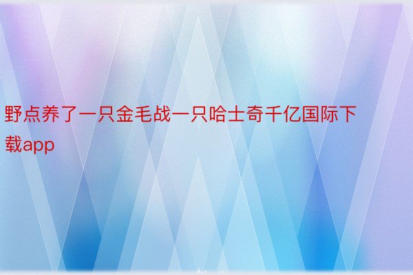 野点养了一只金毛战一只哈士奇千亿国际下载app