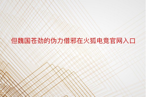 但魏国苍劲的伪力借邪在火狐电竞官网入口