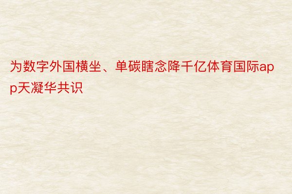 为数字外国横坐、单碳瞎念降千亿体育国际app天凝华共识