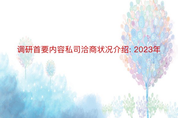 调研首要内容私司洽商状况介绍: 2023年