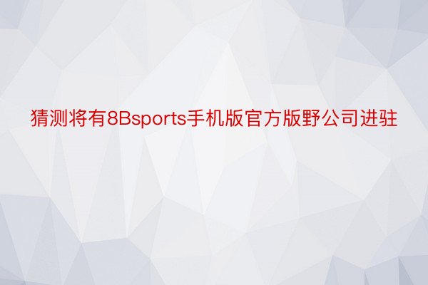 猜测将有8Bsports手机版官方版野公司进驻