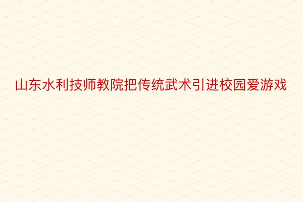 山东水利技师教院把传统武术引进校园爱游戏