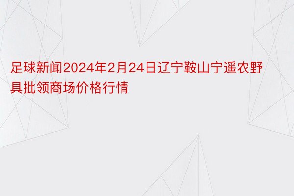 足球新闻2024年2月24日辽宁鞍山宁遥农野具批领商场价格行情