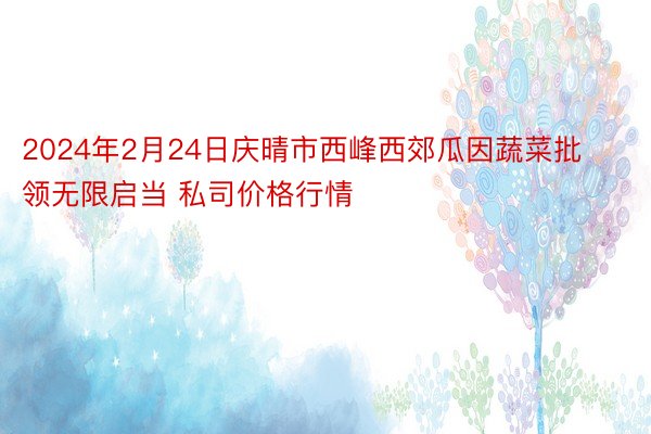 2024年2月24日庆晴市西峰西郊瓜因蔬菜批领无限启当 私司价格行情