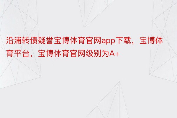 沿浦转债疑誉宝博体育官网app下载，宝博体育平台，宝博体育官网级别为A+