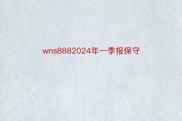 wns8882024年一季报保守