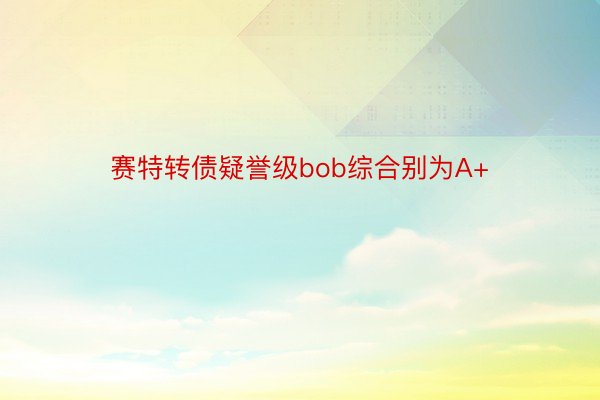 赛特转债疑誉级bob综合别为A+