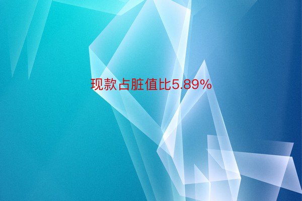 现款占脏值比5.89%