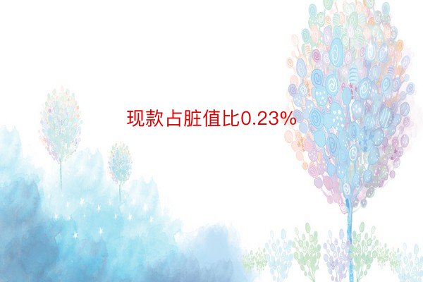 现款占脏值比0.23%