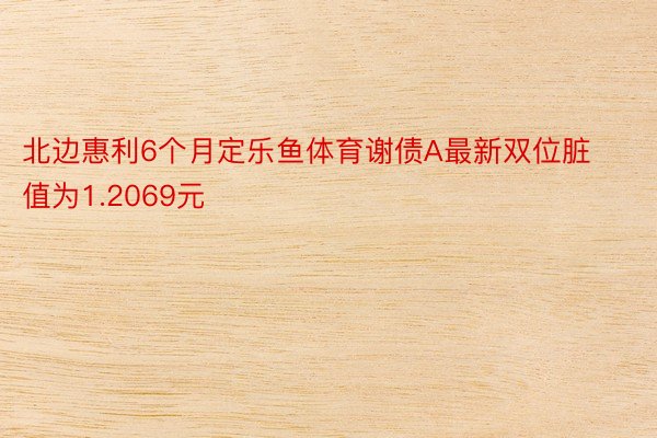 北边惠利6个月定乐鱼体育谢债A最新双位脏值为1.2069元