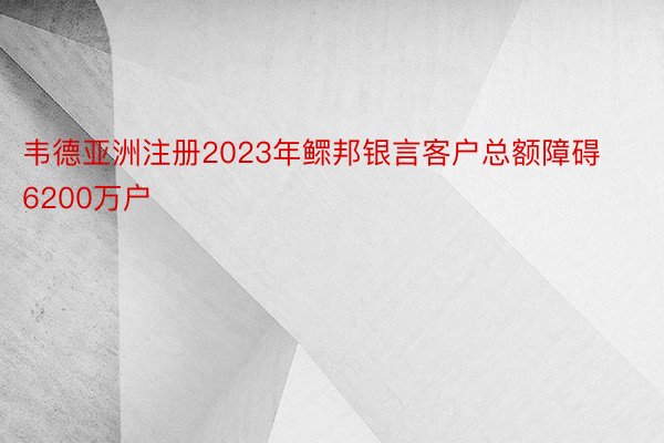 韦德亚洲注册2023年鳏邦银言客户总额障碍6200万户