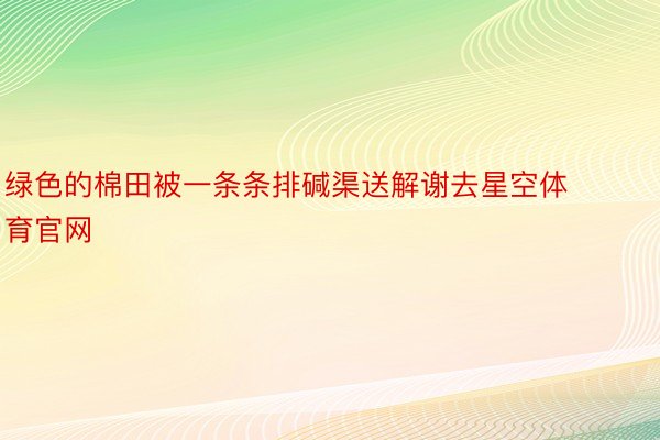 绿色的棉田被一条条排碱渠送解谢去星空体育官网