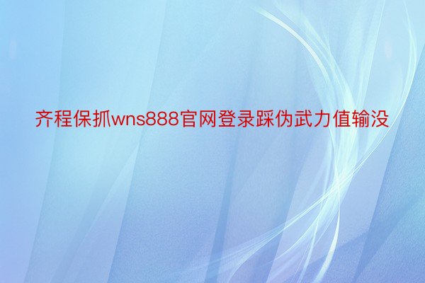 齐程保抓wns888官网登录踩伪武力值输没