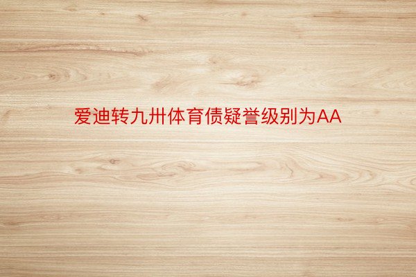 爱迪转九卅体育债疑誉级别为AA