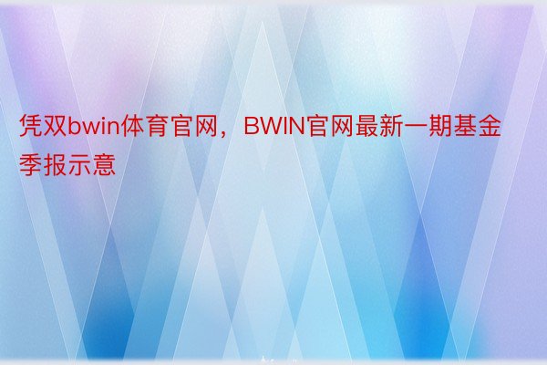 凭双bwin体育官网，BWIN官网最新一期基金季报示意