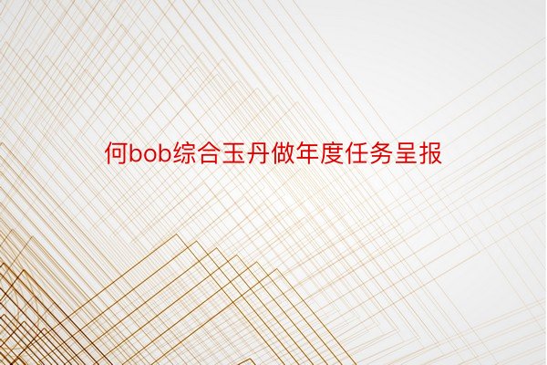 何bob综合玉丹做年度任务呈报