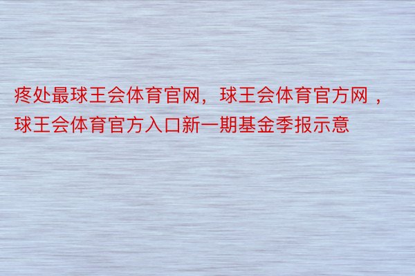 疼处最球王会体育官网，球王会体育官方网 ，球王会体育官方入口新一期基金季报示意