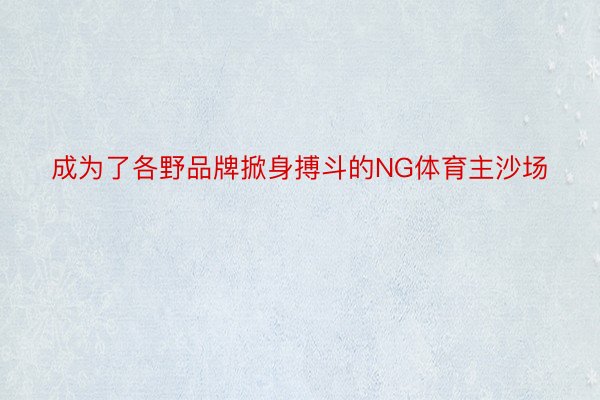 成为了各野品牌掀身搏斗的NG体育主沙场