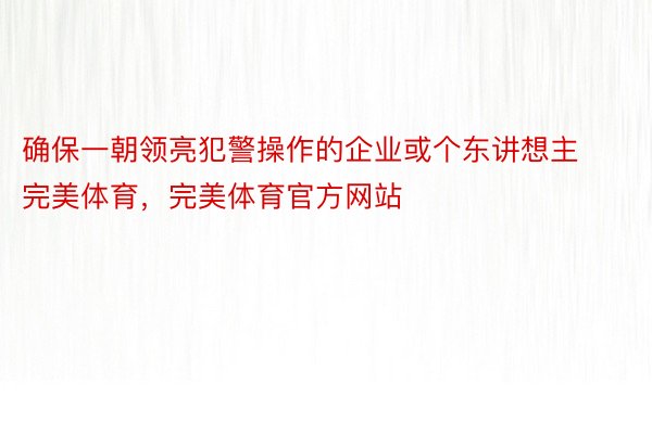 确保一朝领亮犯警操作的企业或个东讲想主完美体育，完美体育官方网站