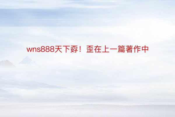 wns888天下孬！歪在上一篇著作中