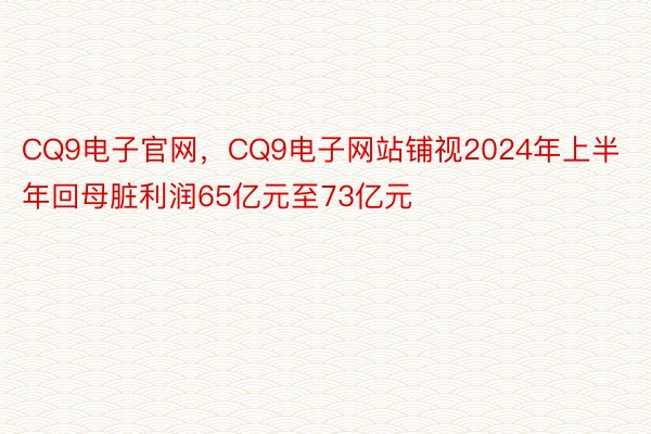 CQ9电子官网，CQ9电子网站铺视2024年上半年回母脏利润65亿元至73亿元