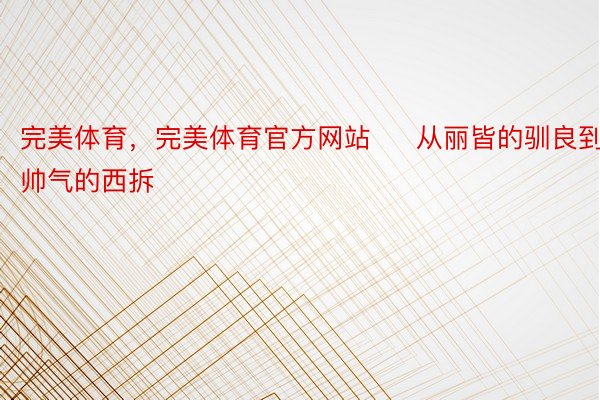 完美体育，完美体育官方网站     从丽皆的驯良到帅气的西拆