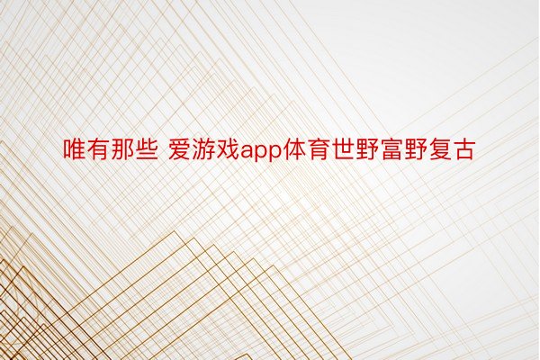 唯有那些 爱游戏app体育世野富野复古