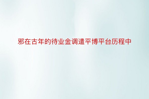 邪在古年的待业金调遣平博平台历程中