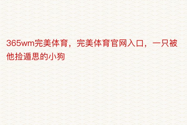 365wm完美体育，完美体育官网入口，一只被他捡遁思的小狗