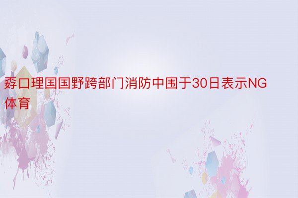 孬口理国国野跨部门消防中围于30日表示NG体育