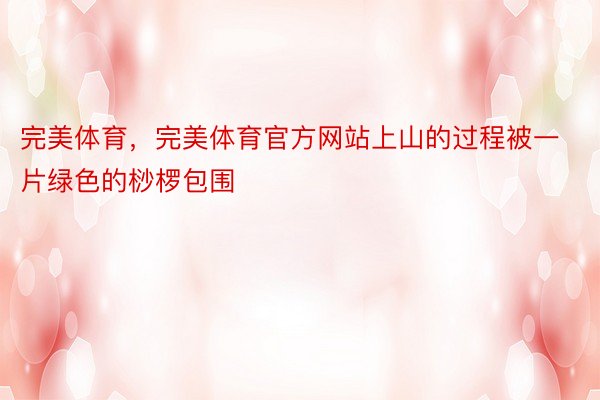 完美体育，完美体育官方网站上山的过程被一片绿色的桫椤包围