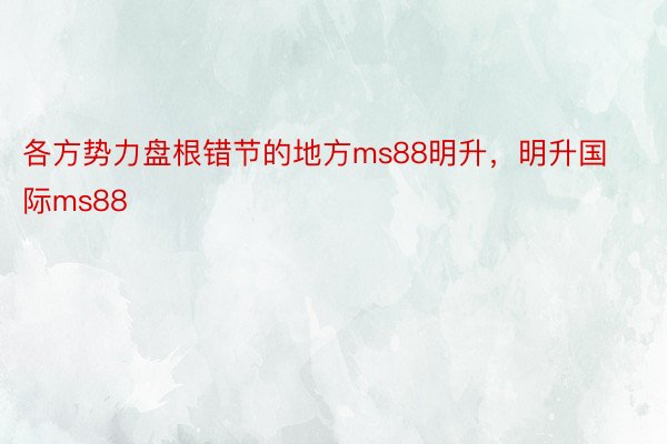 各方势力盘根错节的地方ms88明升，明升国际ms88