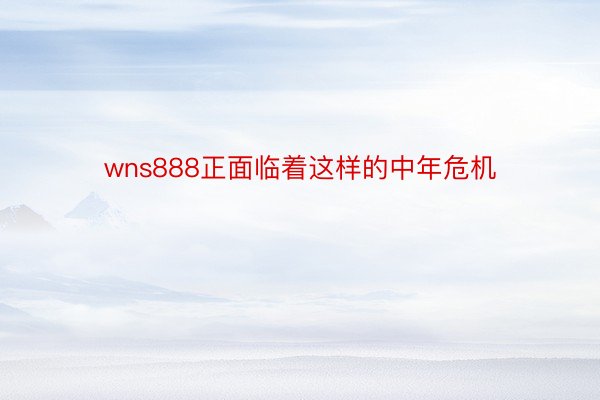 wns888正面临着这样的中年危机